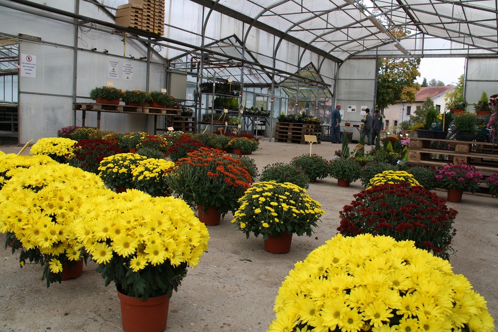 Nos serres sont prêtes pour les ventes d'Automne